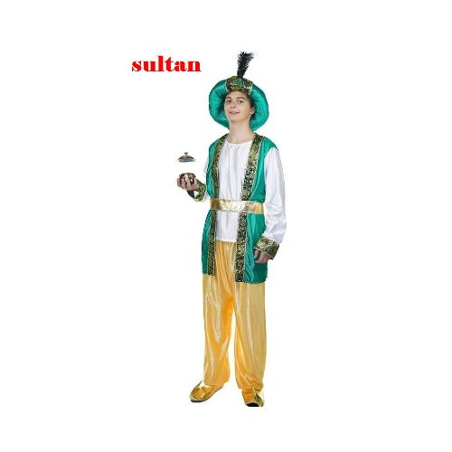 Baby House Costumes  - Sultan