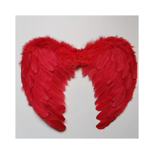 Wing Feathers - 45cm*60cm