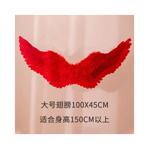 Large feather wing - 60 * 80 80 * 80 +