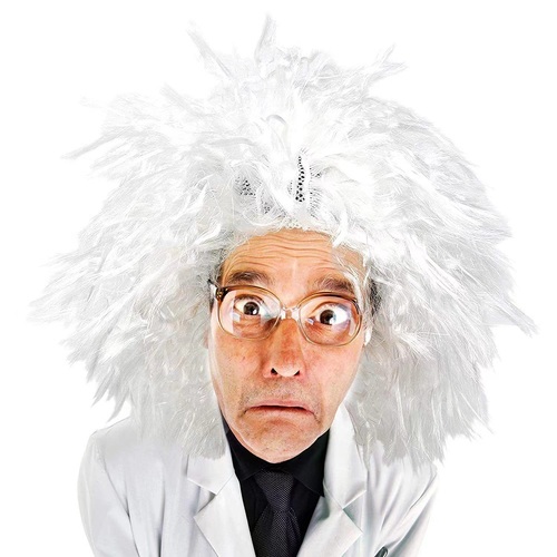 EINSTEIN WIG - only wig