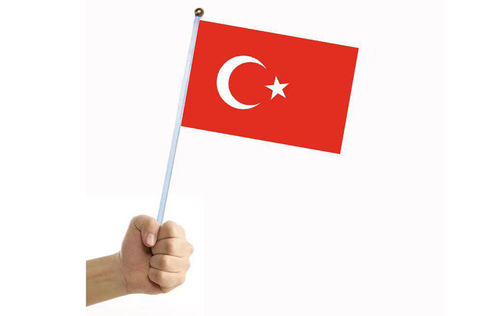 Small Flag of Türkiye