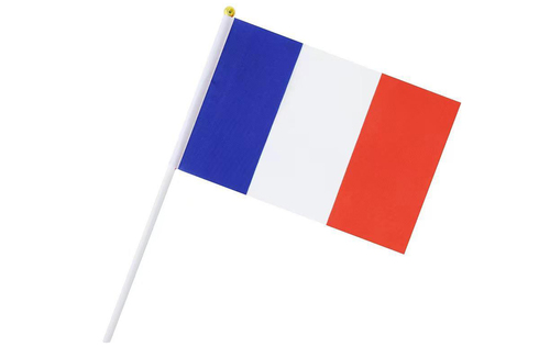 Small Flag of France