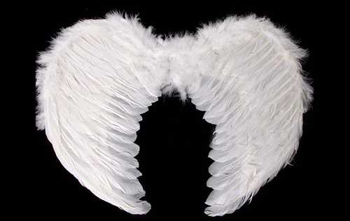 Wing White