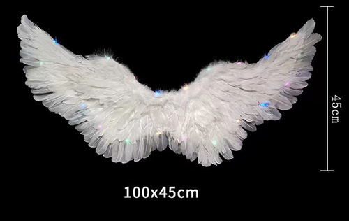 Wing With Lite 45cm*100