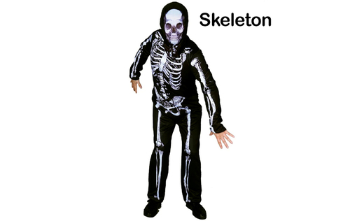 Skeleton Adult