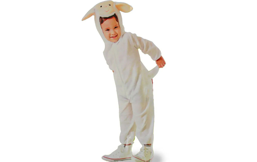 Baby House Costumes  - Sheep