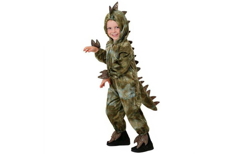 Baby House Costumes  - New Dinosaur