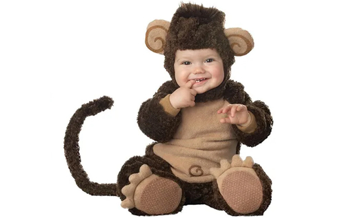 Cuti E Brown Monkey Baby