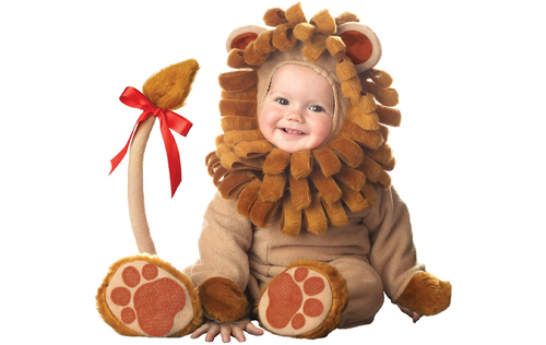 Cute Lion Baby2