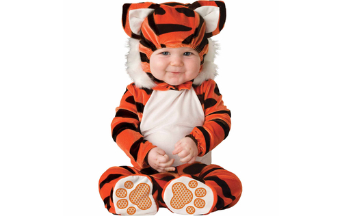 Cute Baby Tiger2