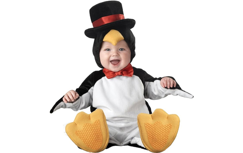 Cute Penguin Baby