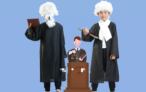 Baby House Costumes  - Judge New