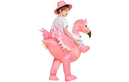 Kid Flamingo