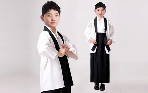 Japanese Boy4