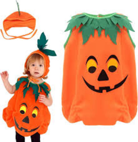 Baby House Costumes  - Pumpkin Baby New