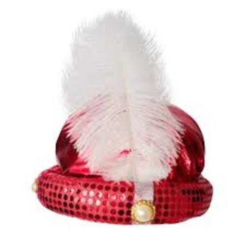 Hat With Feather