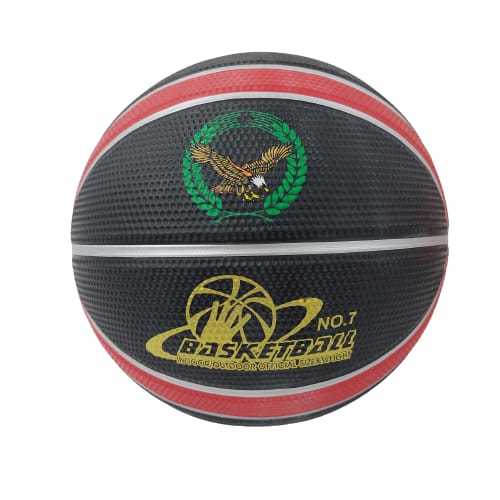 BASKETBALL-VWY1254