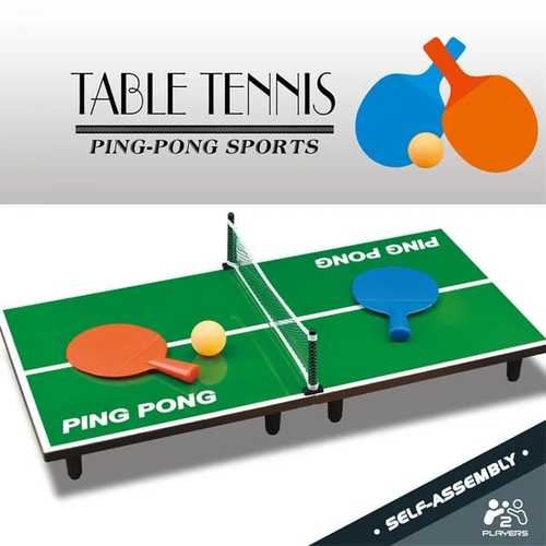 TABLE TENNIS -2291 - TABLE TENNIS 2 PADDLES 1 BALL 1 NET FOR 3+ AGES