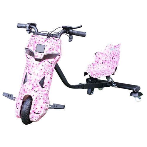 سكوتر الانجراف - الوصف: سكوتر 
 رقم الفن: DP120 
 الإدخال: AC100-240V 50/60Hz 
 المخرج: DC36V 
 القدرة: 250 واط 
 الوزن المحدود: 50 كجم 
 العمر المناسب للغراندينغ: 3+ الأعمار