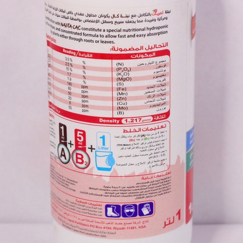 B2 نبتة ثمريات