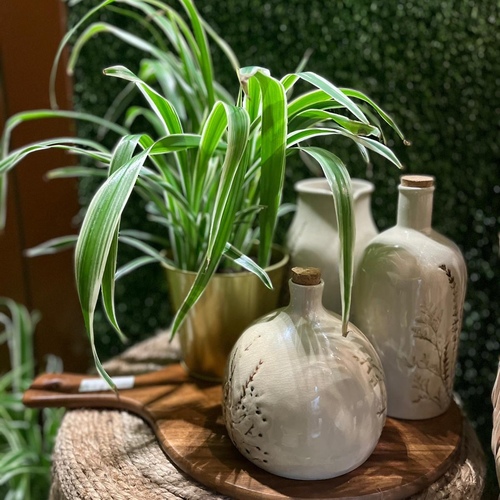 المزرعة المستدامة - نبتة العنكبوت Spider Plant - نبتة العنكبوت Spider Plant  
 نبتة العنكبوت نبتة داخلية مثبوت علميا انها تفلتر الهواء من السموم وتزيد الاكسجين، سهلة العناية سقي ماء مرة بالاسبوع او لما تنشف التربة مع محلول مغذي بالشهر مرة (نوفر المحلول المغذي) مع اضائة شمس غير مباشرة من الدريشة او اضائة البيت الداخلية مثل الصالة ( اضائة ٦ ساعات باليوم على الاقل) . النبتة قوية وتتحمل الجفاف والظروف القاسية والسقي الزايد.(حجم ١٠سم ١٥٠ مل و حجم ١٩سم ٤٠٠ مل سقي ماء بالاسبوع مرة خلط الماء مع المحلول النص بالنص). لا تحتاج سقي ماء اكثر من مرة بالاسبوع  ( نفس العناية لجميع انواع النبات ماعادا الصباريات )