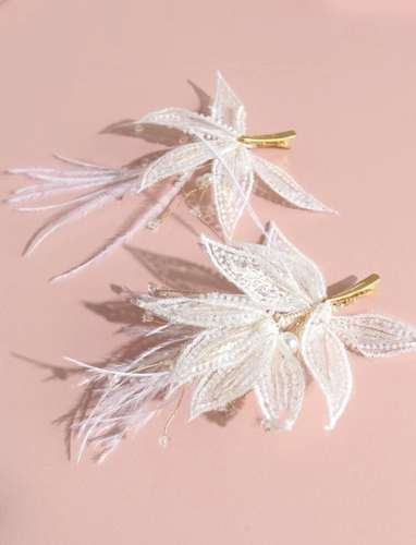 2 pieces feather hair clip