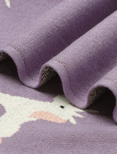 Unicorn blanket