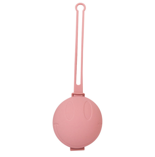 Pacifier case