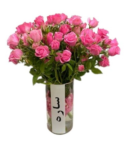 BABY ROSES WITH VASE - BABY ROSES WITH VASE please note flowers are seasonal and we change the flower depends on the availability of the stocks. A transparent vase with 10 baby rose sticks printed with your name on a sticker.