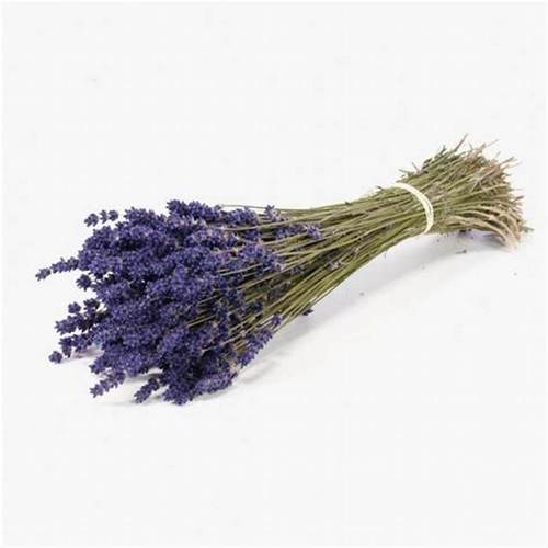 LAVENDER DRIED - 1 Bunch