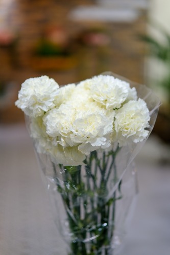 CARNATION WHITE - 20 STEMS CARNATION WHITE