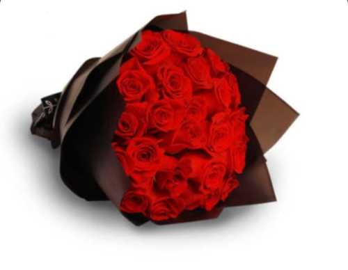 RED ROSES BOUQUET - A bouquet contains 20 Stems Red Roses Indian