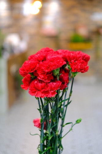 CARNATION RED - 20 STEMS CARNATION RED