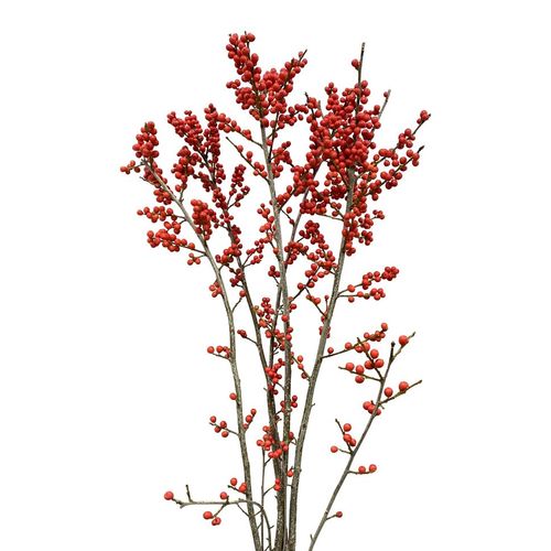 ILEX RED - 5 STEMS ILEX RED