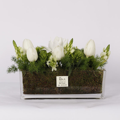 Tulips - A bouquet of tulips, dianthus, ornithogalum arranged in rectangular glass vase.