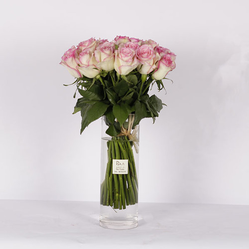 Roses In A Vase 1 - A bouquet of pink roses arranged in a glass vase.