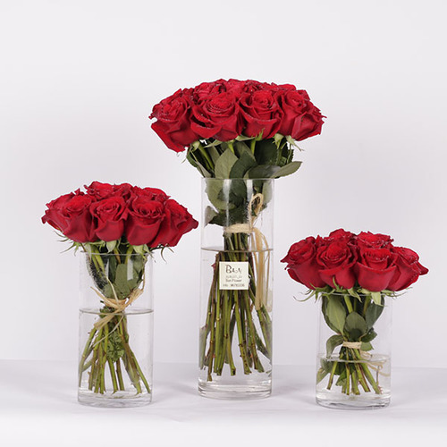 Rose Vases Trio - These 3 glass vases contain red roses.