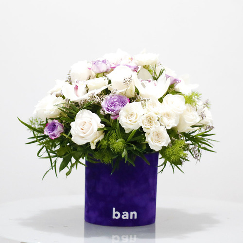 Gwen - A bouquet of white with touch of purple White cymbidium and roses in purple velvet cylinder box, H 30 x W 40 cm