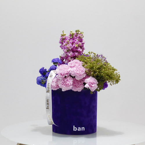 Dos Dizenio Purple Box - Purple velvet cylinder box filled with shades of pink, purple and green, Matthiola, carnation and allium bouquet. H45 x W 35 cm.