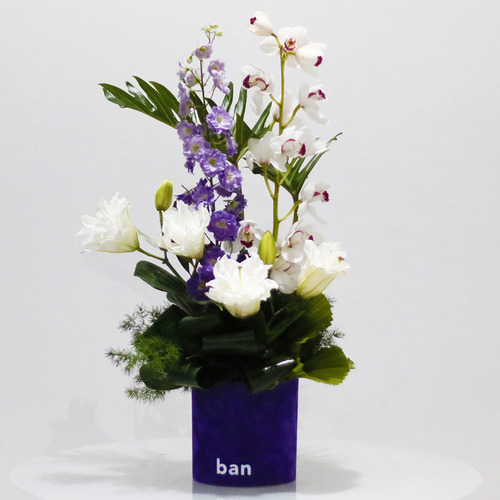 Dos Dizenio Velvet Box - Delphinium, cymbidium and double lilies and greens  in purple velvet cylinder box. H 65 X W 25 cm