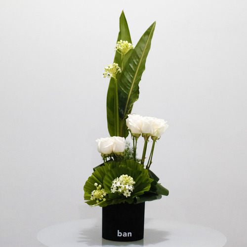 Dos Dizenio Black Velvet - A bouquet  of Ornithogalum, roses and greens in black velvet cylinder box.  H 70 X W 25 cm