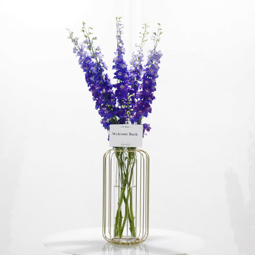 Blue Delphinium - Blue delphinium bouquet  in cage like vase. H 80 x W 25 cm.