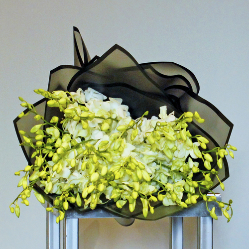 Bolzano - Hand tied bouquet of white baby orchids. H 50 x W 35 cm.