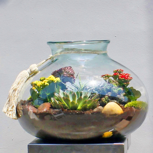 Terrarium Garden 3 - Large terrarium consist of aloe, kalanchoe, euphorbia, echeveria and cactus.