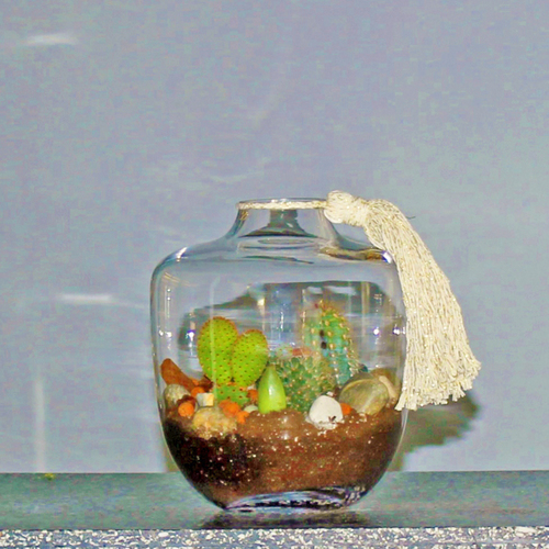 Ban Flowers - Mini Cacti Terrarium - Bottled style terrarium of mini cacti.