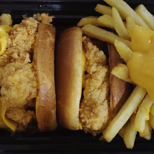 cheesy chicken and fries