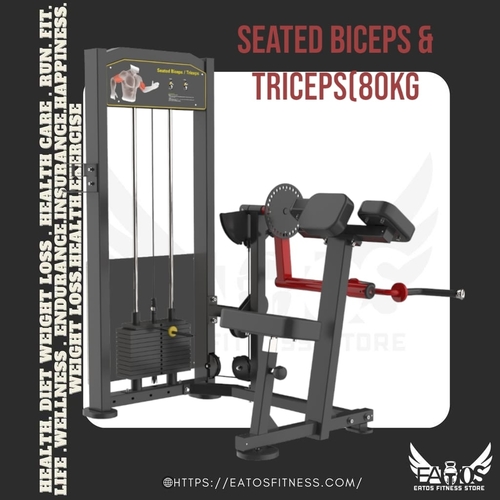 Seated Biceps & Triceps(80kg) - Seated Biceps & Triceps(80kg