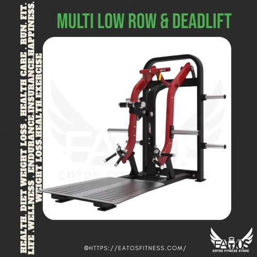 multi low row & deadlift