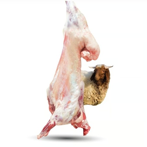 Fresh Whole Naimi Lamb - Fresh Whole Naimi Lamb, 12kg to 15kg Approximately, Kuwait farms Breeding,  Free of hormones and antibiotics, Balanced nutrition of grains and grass. Cut and packing as ordered contact whatsap 9744 4131