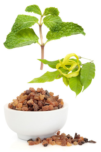 Console® Touch Comforting Blend
